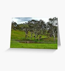 "Old Dam" Greeting Card