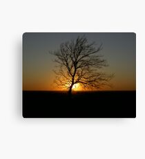 SUNSETTING Canvas Print