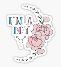 I'm A Boy. Sticker