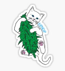 Vegan Cat Sticker