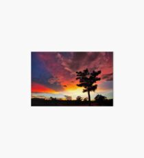 Sunset Art Board