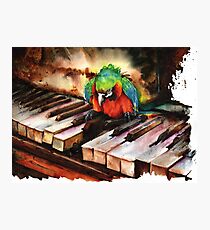 All The Right Notes Not Necessarily In The Right Order Photographic Print