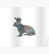 Hase Poster
