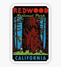 Redwood National Park California Vintage Travel Decal Sticker