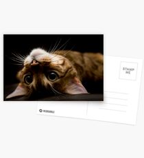 Gremlin or Mogwai? Postcards