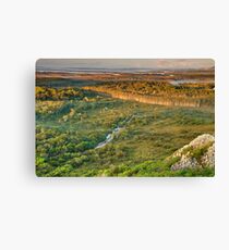 Mt Peregian View Canvas Print