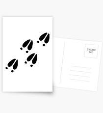Deer Tracks Postcards