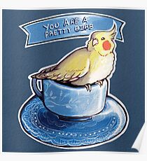 You are a pretty birb Poster