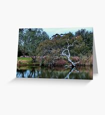"Riverbank" Greeting Card