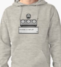 Choose your companion Pullover Hoodie