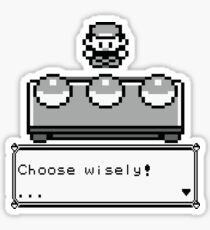 Choose your companion Sticker