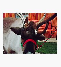 ITS TIME FOR CHRISTMAS Photographic Print