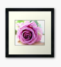 delicate Framed Print