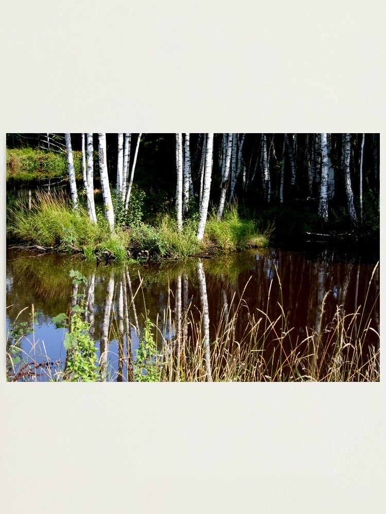 Alternate view of Reflection Photographic Print