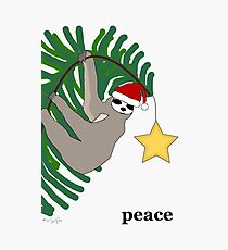 Lámina fotográfica Peace Sloth