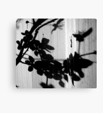 Shadows on the Shed Canvas Print