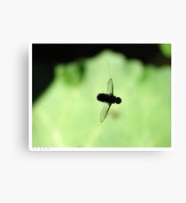 STUCK Canvas Print