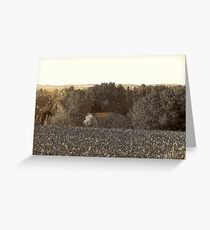 Hidden Barn Greeting Card
