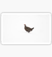 Red Grouse Sticker