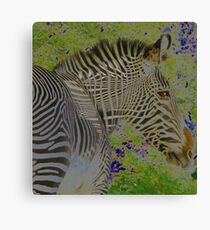 Zebra Head Canvas Print