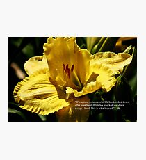 daylily with quote Photographic Print
