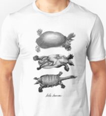 John Laurens Turtle Sketches Unisex T-Shirt