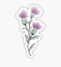 Watercolor Thistle Sticker