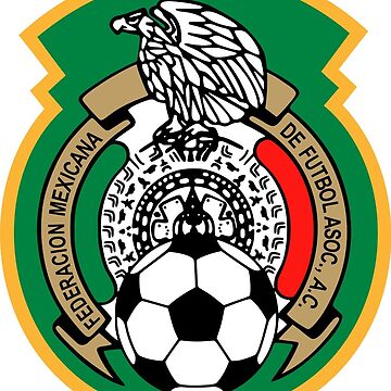 FIFA World Cup 18x14 Drawstring Tote Bag- Mexico Flag Print 