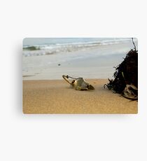 I Wish 3 Canvas Print
