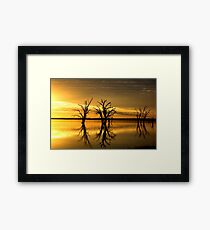 Midas Touch Framed Print