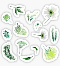 Watercolor floral collection Sticker