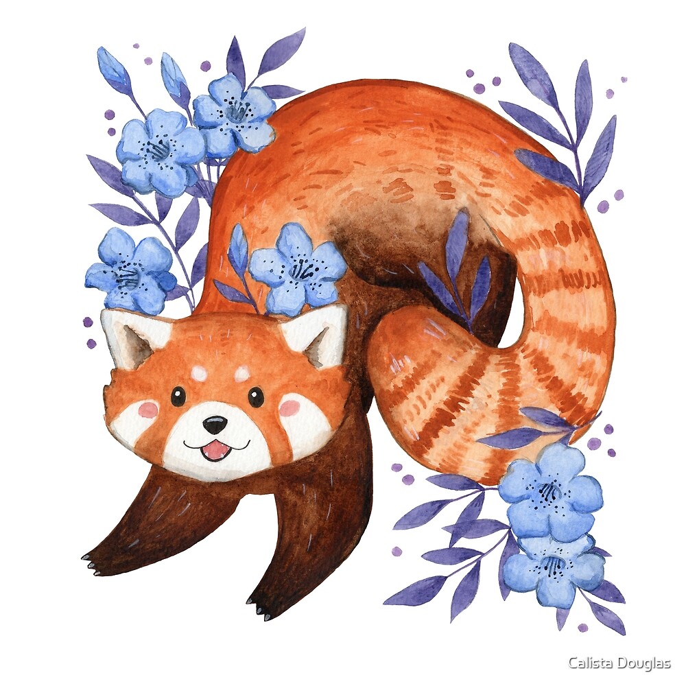 Pin by Tanya Curtis on RED PANDAS | Panda illustration, Panda art, Red