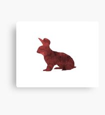 Hase Leinwanddruck
