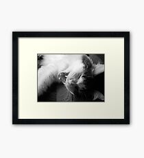 Hilarious Framed Print