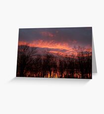 rainstorm Greeting Card