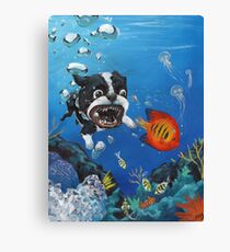Sea Dog Canvas Print