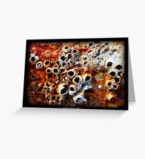 Barnacles Greeting Card