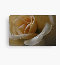 Cloth Rose Canvas Print