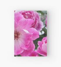Blushing Pink Iceberg Hardcover Journal
