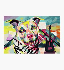 Rockstar Pup Photographic Print