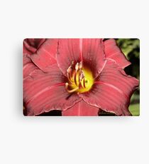 Inside The Flower Canvas Print