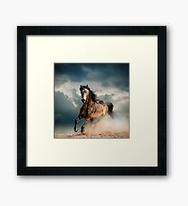 Galoppierendes Pferd Gerahmtes Wandbild