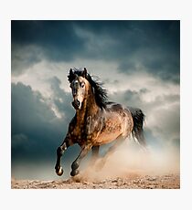 Galoppierendes Pferd Fotodruck