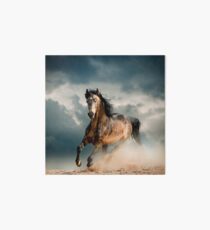 Galoppierendes Pferd Galeriedruck
