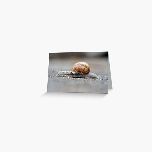 Snail on a Mission Greeting Card
