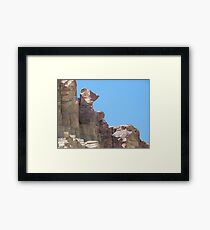 Yogi Bear Framed Print
