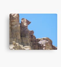 Yogi Bear Canvas Print