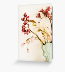 Burnett St Orchids Greeting Card