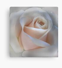 Single Pink Rose Canvas Print