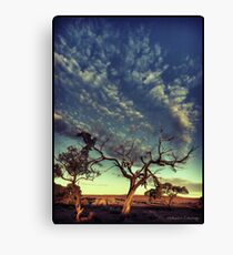 Dead tree Canvas Print